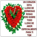 armando cueva - @cueva_armando - Instagram