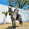armandocuevas jr - @armandocuevas5883 - TikTok