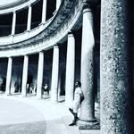 Armando Cunha Moreno - @armando_cunha95 - Instagram