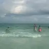 Armando Alday - @armando.alday - TikTok