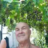 armandodalessand8 - @armandodalessand8 - TikTok