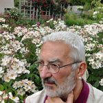 Armando Damiani - @armando.damiani - Instagram