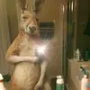 armando Daniel 462 - @armando.daniel.462 - TikTok