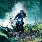 Dennis Armando - @armando.dennis - Instagram