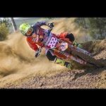 Armando Diniz - @armandodiniztofazu - Instagram