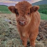 Gael Armando Alvizo Diosdado - @gaelarmandoalvizodiosdado - Instagram