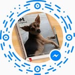 Armando Domingo - @armando.domingo.507 - Instagram