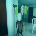 Armando Domingo Perez Tadeo - @pereztadeoarmandodomingo - Instagram