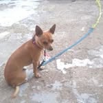 Armando Domingo Pérez Tadeo - @armandodomingopereztadeo - Instagram