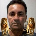 Armando Domingos - @armando.domingos.9279 - Instagram