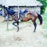 Alfonso Armando Donado Julio - @alfonsoarmandodonadojulio - Instagram