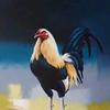 Armando Donis - @armando.donis4 - TikTok