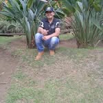 Armando Dorado - @doradoarmando74 - Instagram