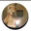 Armando Dubon - @armandodubon1016 - TikTok