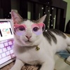 ArmandoDuke - @userkyrz4np1s244 - TikTok