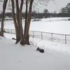 Armando Duran - @armandoduran81 - TikTok