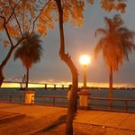 Armando Echavarria - @armando_echavarria - Instagram
