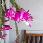 Armando Echavarria - @armando.echavarria.9 - Instagram