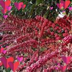 Armando Echeverry - @armando.echeverry.58 - Instagram