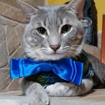 Raiden Loki Armando Enciso - @loki_armando21 - Instagram