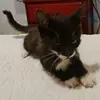 Armando Erazo - @armando.erazo72 - TikTok