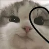 armando_erazo - @armando_erazo0 - TikTok