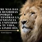 Armando Escobar Ayala - @pedrojuan_mi_ciudad - Instagram