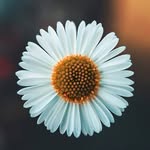 Armando - @armando_forte000 - Instagram