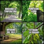 Armando Forte - @forte9248 - Instagram