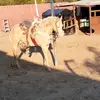 Armando Gallardo - @armandogallardo74 - TikTok