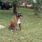 Armando Iniguez - @armando.iniguez.52 - Instagram