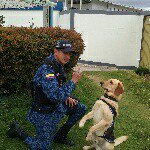 armando jara - @jara_armando - Instagram