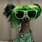 Didier Armando Padilla Labastida - @didierarmandopadilla - Instagram
