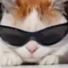 Armando - @armando_loves_games - TikTok