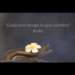 @armandolugo - Instagram