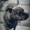 Armando Luzzi875 - @armandoluzzi875 - TikTok
