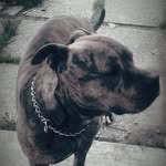 Armando Luzzi - @armando.luzzi.94 - Instagram