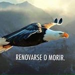 Armando Maciel - @armando.maciel.5454 - Instagram
