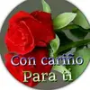 armando martin - @armandomartnrodrg - TikTok