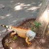 Armando May - @armando.may2 - TikTok