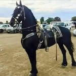 Armando May Cab - @armando.m.cab.7 - Instagram