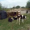 Armando Mireles - @armando.mireles31 - TikTok