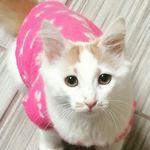 armando morin berra - @armandomorinberra - Instagram