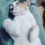 hermosa_55 - @armando.olivera_ - Instagram