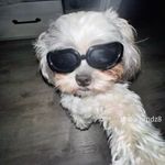 Armando Pagán Morales - @mandy.pr - Instagram