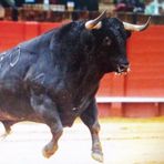 Armando Piñon - Facebook