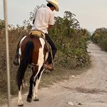 Armando Portillo  - @armando_portillom - Instagram