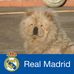 Nicolas Armando Valdes Prats - Facebook