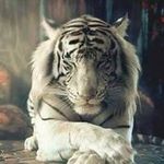 armando rico - @armando.rico - Instagram