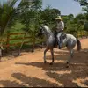 Armando Roman876 - @armandoroman876 - TikTok